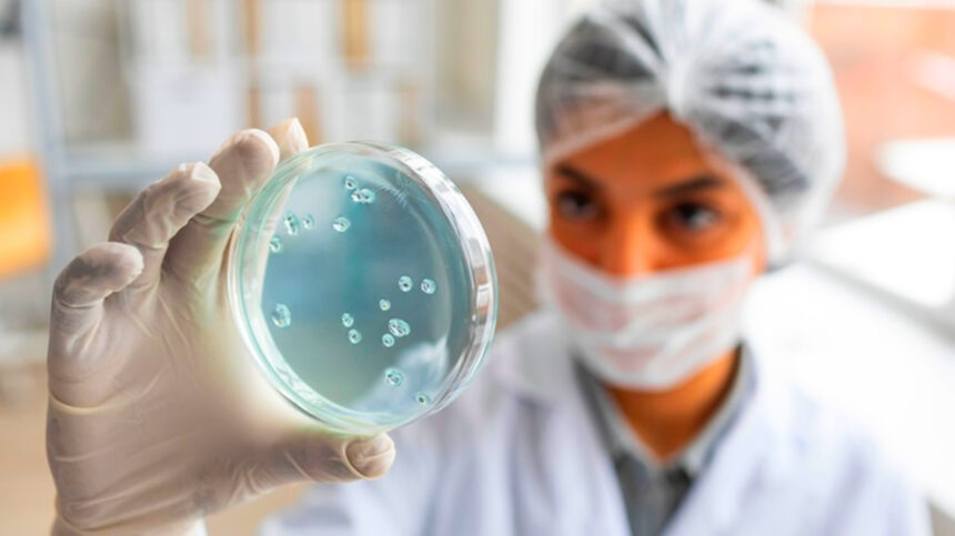 Zigomicosis: cuáles son los síntomas y tratamiento de la infección por hongos 