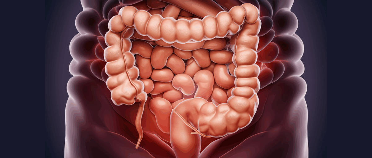Cuál es la importancia de la microbiota intestinal para la salud 