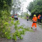 Los centros de acopio para ayudar a los afectados por las lluvias en los Andes venezolanos