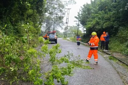Los centros de acopio para ayudar a los afectados por las lluvias en los Andes venezolanos