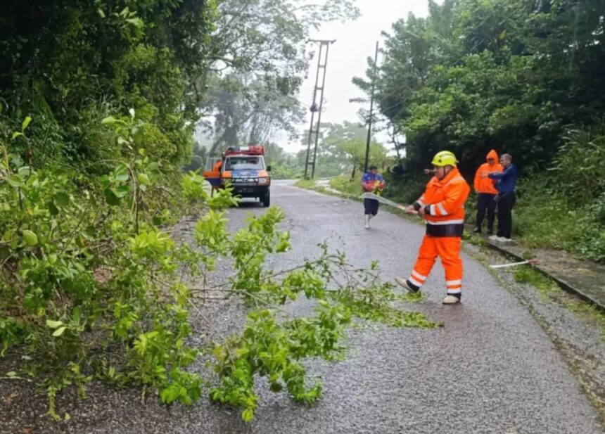 Los centros de acopio para ayudar a los afectados por las lluvias en los Andes venezolanos