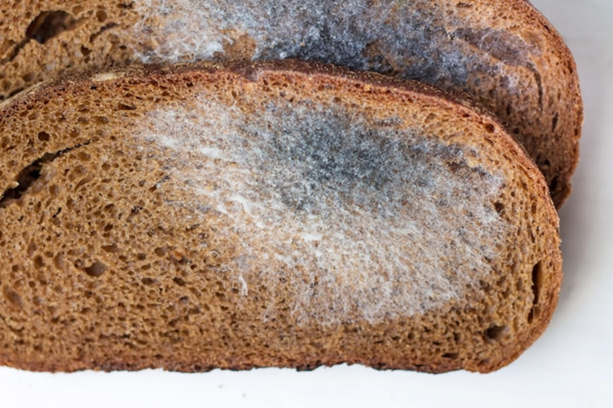 Zigomicosis: cuáles son los síntomas y tratamiento de la infección por hongos 