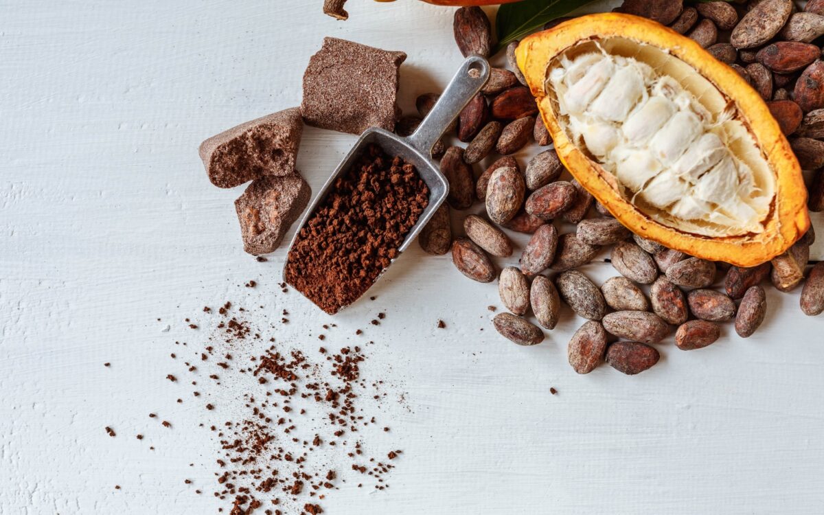 El cacao venezolano como una conexión con la cultura y tradición: “Conocer de esta semilla nos crea un arraigo por Venezuela”