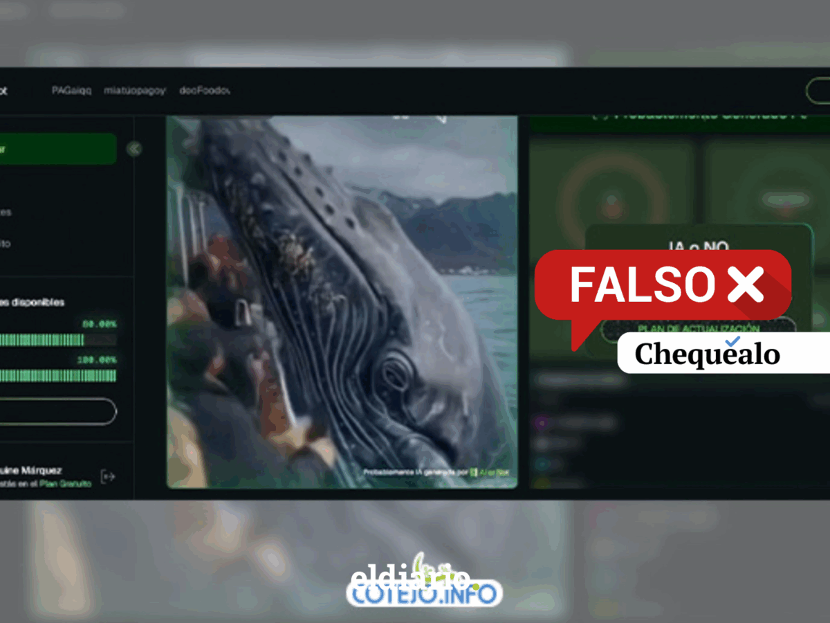 ¿Una ballena jorobada atacó a una persona en Canadá?