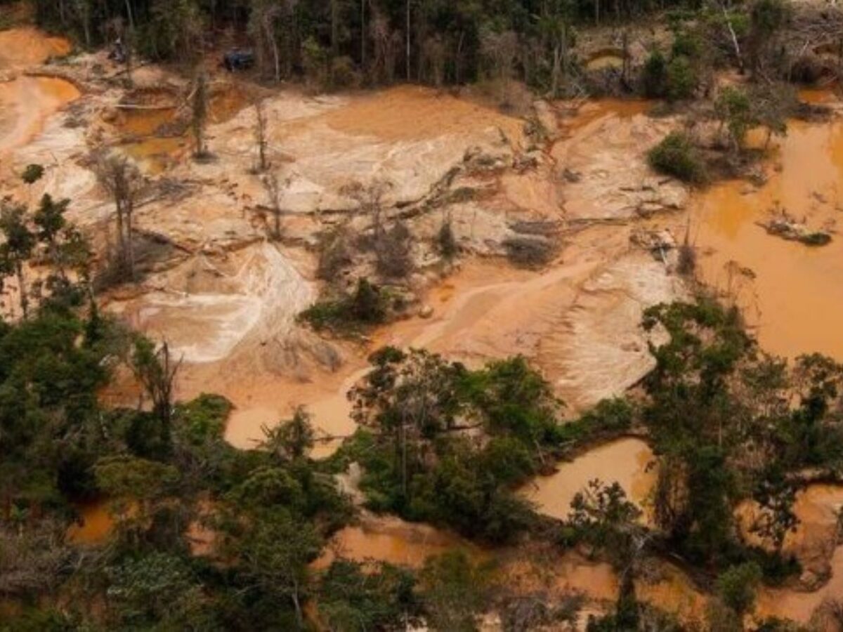 ONG reportó que la minería ilegal fue el principal problema ambiental de Venezuela en 2024
