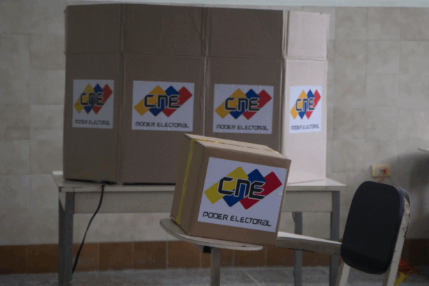 El CNE presentó el primer boletín de las elecciones municipales del 27 de julio