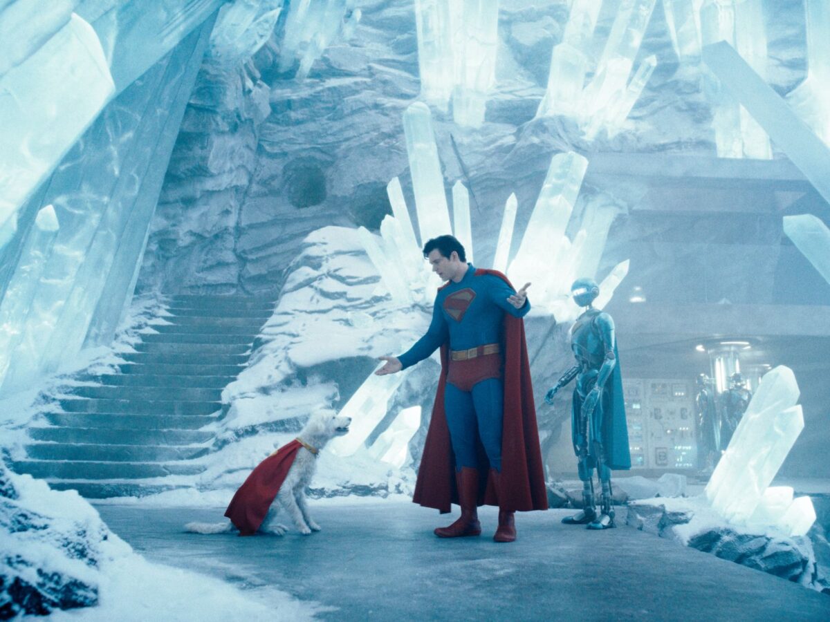 El impacto que ha tenido Superman en la adopción de perros en Estados Unidos 