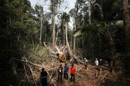 Los cinco países más peligrosos para ser defensor ambiental en Latinoamérica