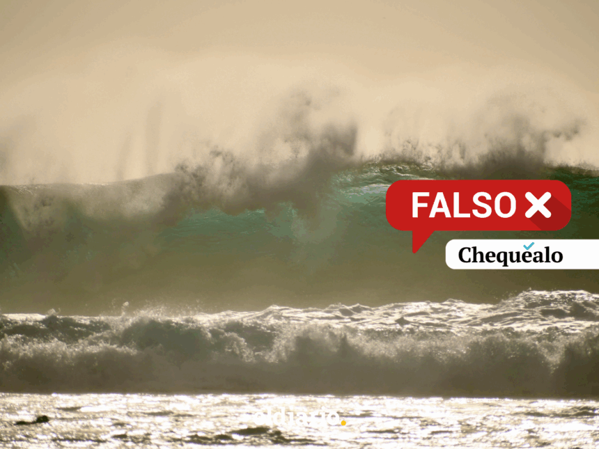 Borrador automático