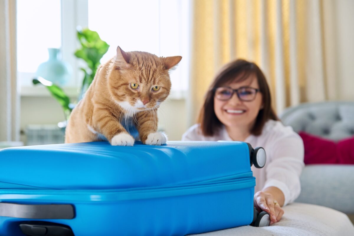 ¿Qué se necesita para viajar con mascotas dentro de Venezuela?
