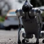 Waldog, el perro robot que concientiza sobre el maltrato animal en México