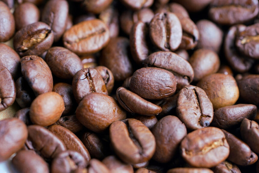 Venezuela y Turquía anunciaron la apertura de una ruta marítima comercial directa