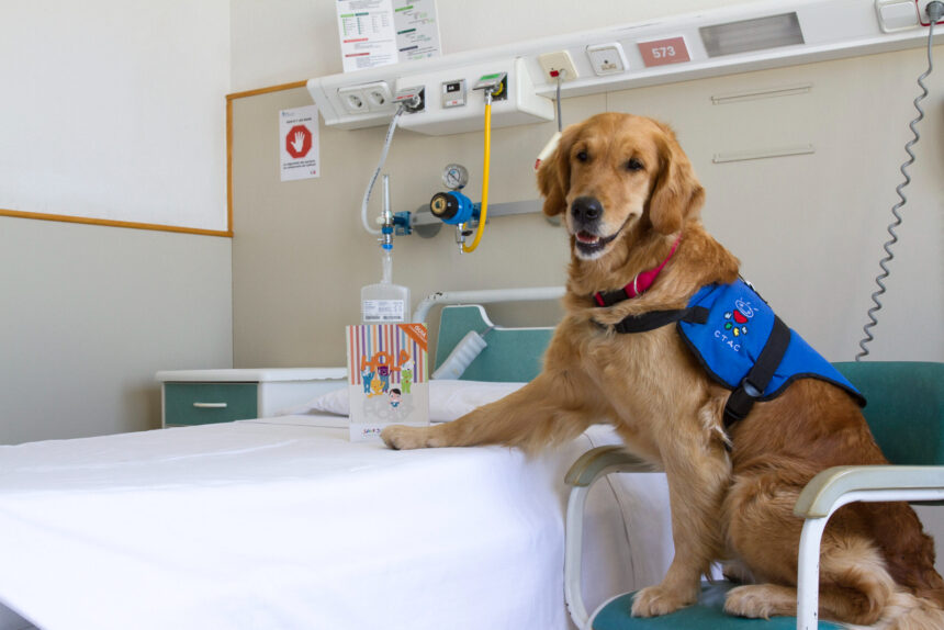 Perroterapia: beneficios de la terapia asistida para personas con problemas de salud