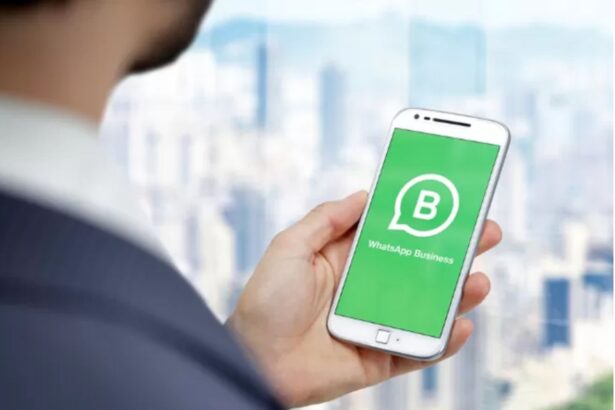 WhatsApp como herramienta de trabajo: qué opciones ofrece su versión Business