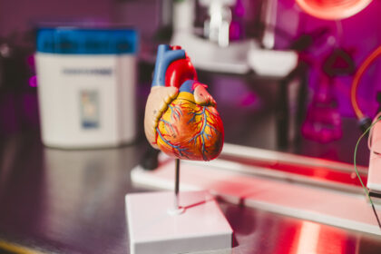 Científicos crearon una IA que busca prevenir infartos oyendo los latidos