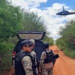 Brasil incautó 380 kilos de marihuana de una aeronave presuntamente proveniente de Venezuela