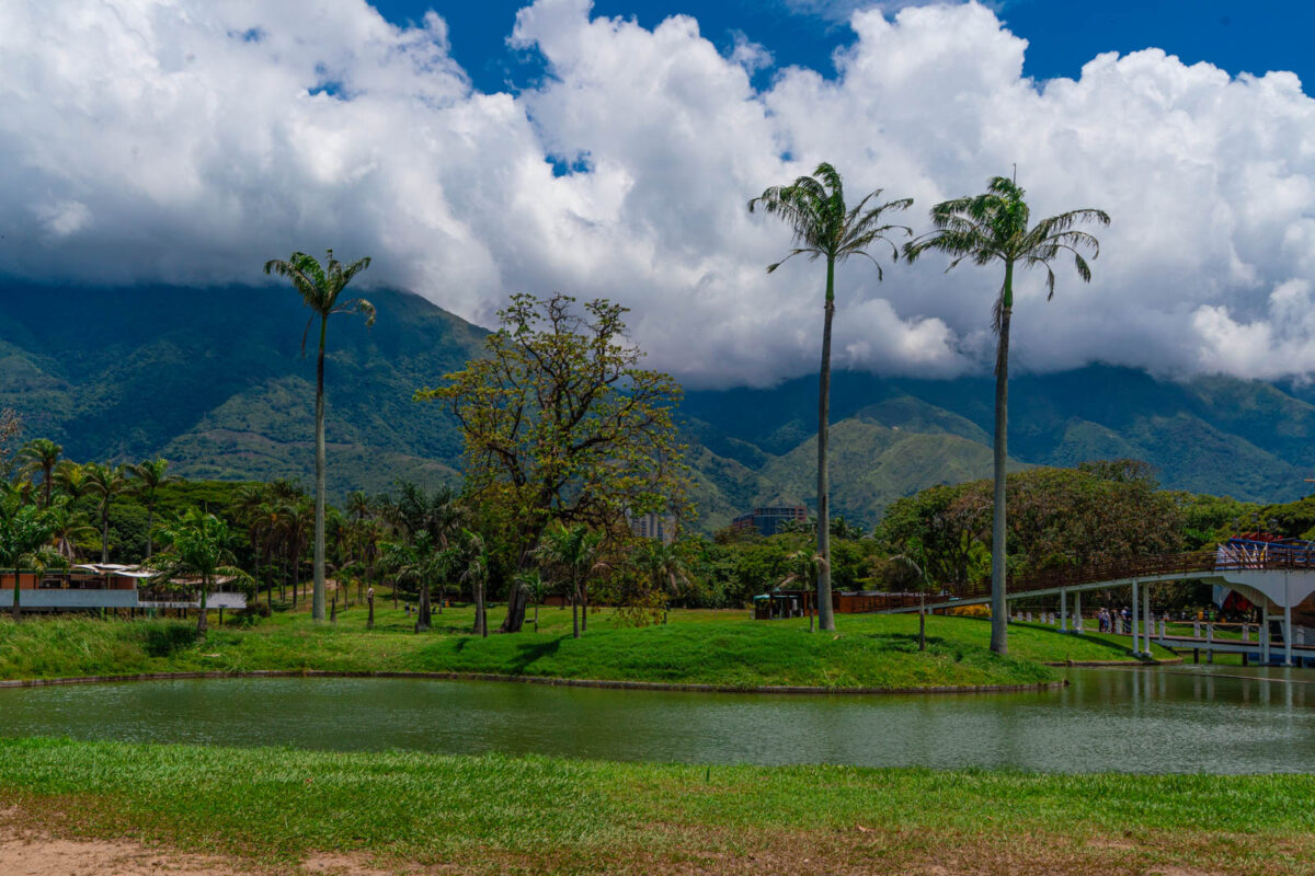 Los oasis de Caracas: espacios verdes que dan respiro a la ciudad