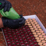 Los rostros y sabores que impulsan la chocolatería en Caracas