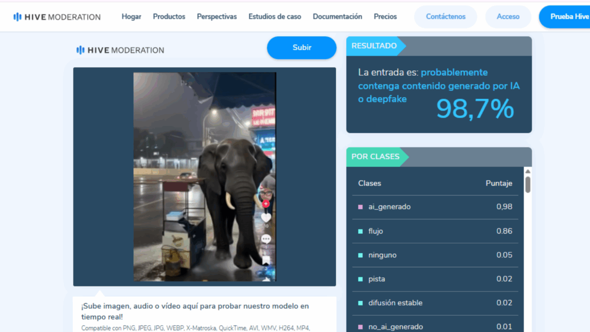 ¿Un elefante causó estragos en Puerto Cabello?