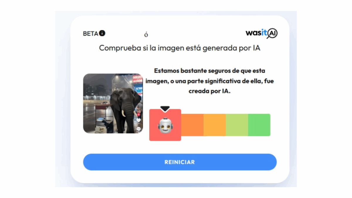 ¿Un elefante causó estragos en Puerto Cabello?