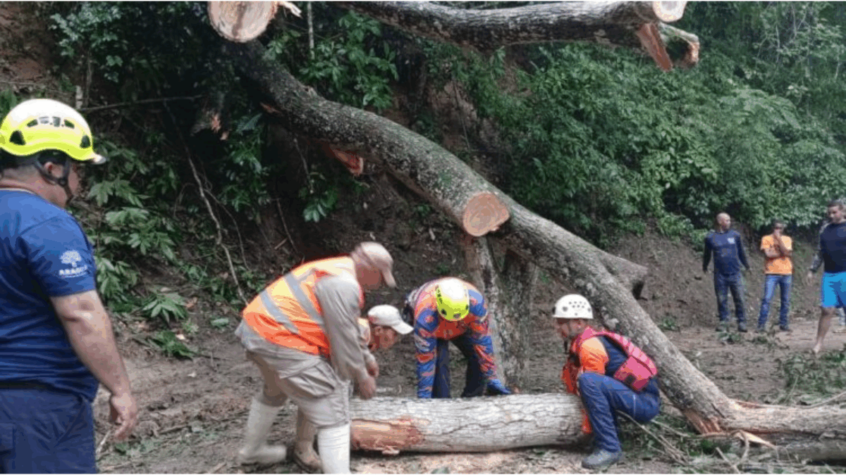 Lluvias causaron daños e inundaciones en Distrito Capital, Aragua y La Guaira