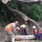 Lluvias causaron daños e inundaciones en Distrito Capital, Aragua y La Guaira