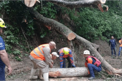 Lluvias causaron daños e inundaciones en Distrito Capital, Aragua y La Guaira