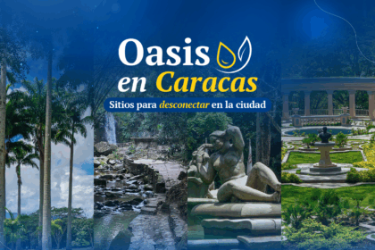 Los oasis de Caracas: espacios verdes que dan respiro a la ciudad