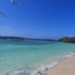 Autoridades rescataron a un hombre que se extravió en Morrocoy