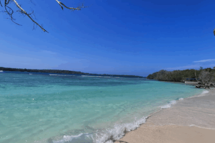 Autoridades rescataron a un hombre que se extravió en Morrocoy