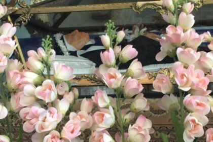 Estudian dos posibles milagros para el proceso de canonización de la beata venezolana María de San José