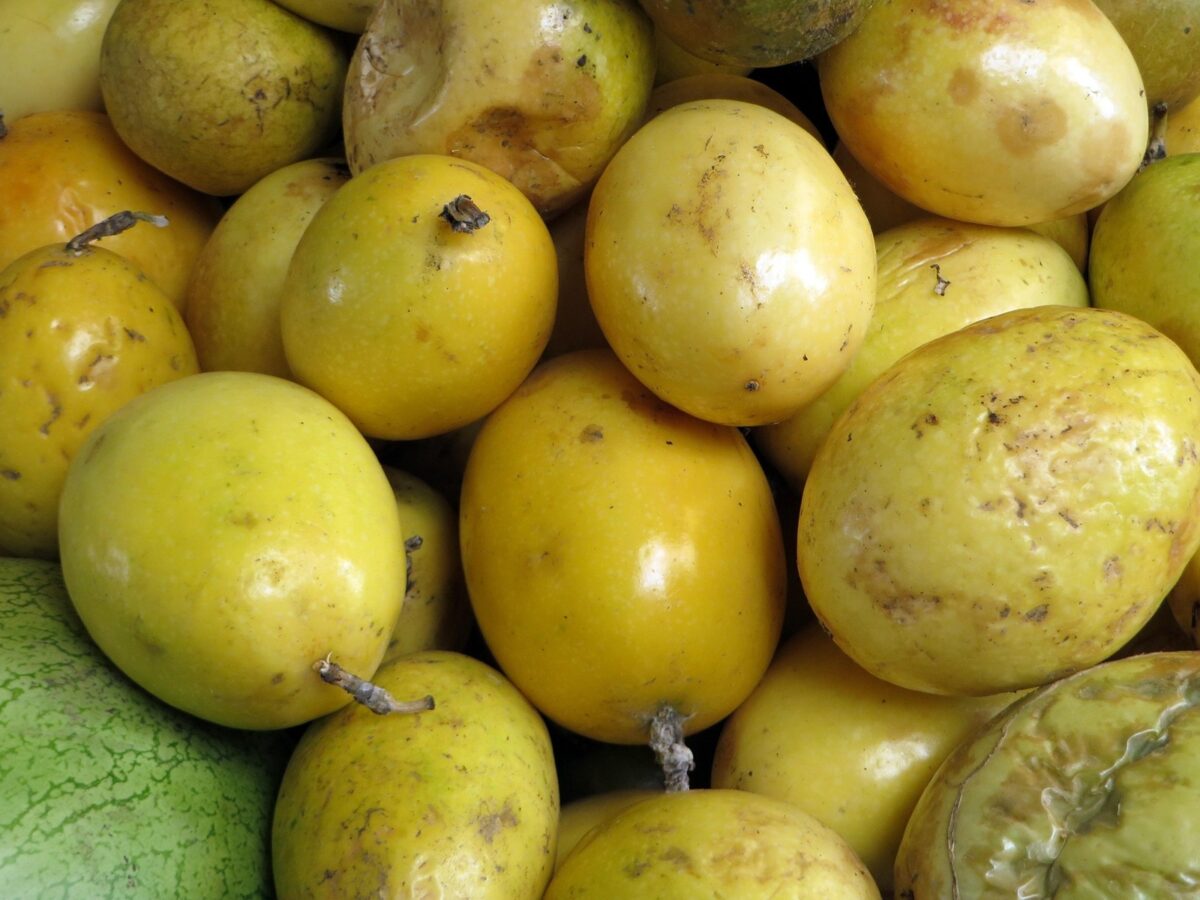 ¿Qué frutas tienen un alto contenido de fibra y pueden mejorar la salud?