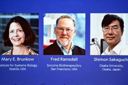 Brunkow, Ramsdell y Sakaguchi ganan el Nobel de Medicina por la tolerancia inmunológica periférica