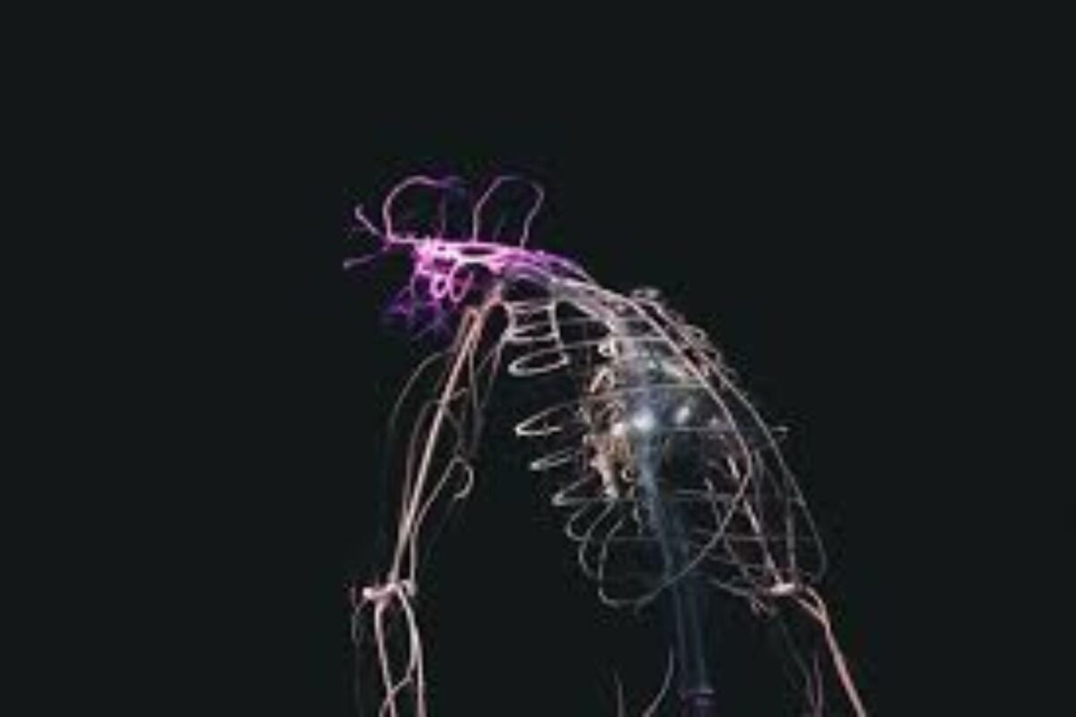 ¿Qué es el biohacking y qué riesgos representa en la seguridad digital actual?