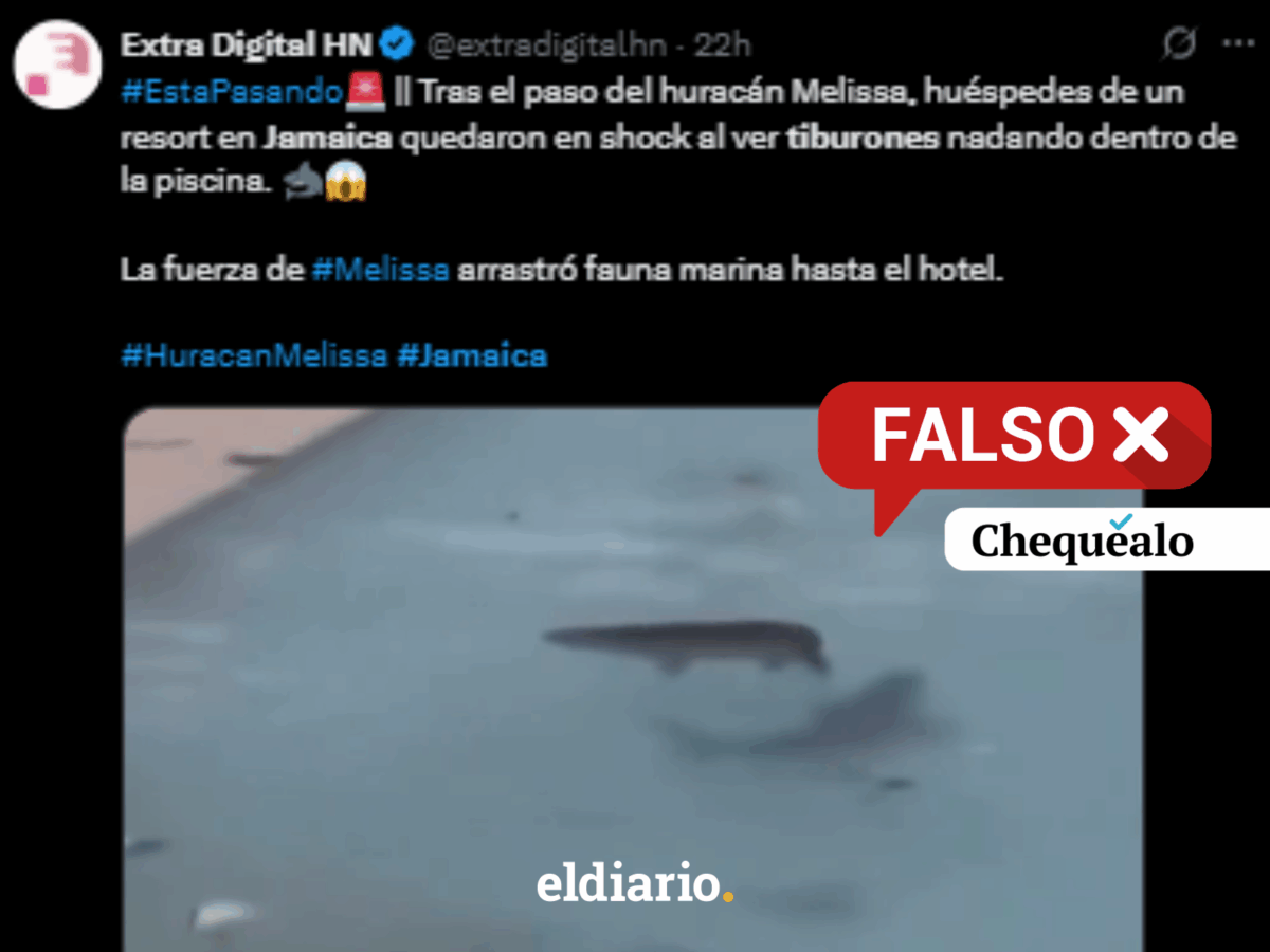No son tiburones en una piscina tras el paso del huracán Melissa por Jamaica, es IA