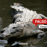 Borrador automático