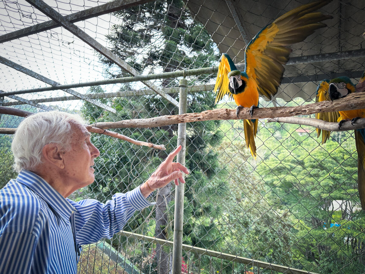 El legado de Vittorio Poggio: el italiano de cuna que se forjó en Venezuela como amante y protector de las guacamayas