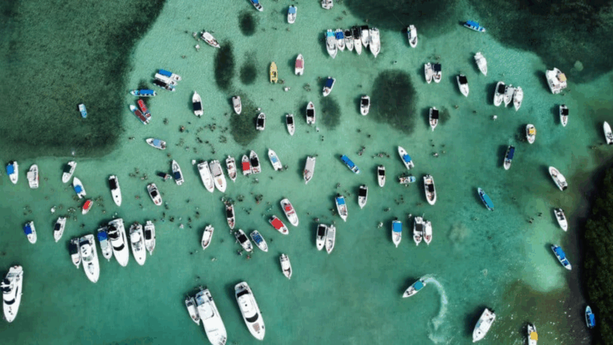 Morrocoy, entre la viralidad y la fragilidad: los arrecifes sufren por el auge turístico