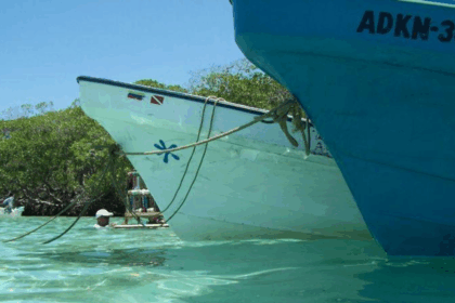 Morrocoy, entre la viralidad y la fragilidad: los arrecifes sufren por el auge turístico