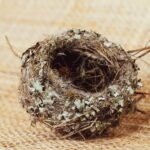 Síndrome del nido vacío: ¿qué es y cómo puede afectar a los padres?