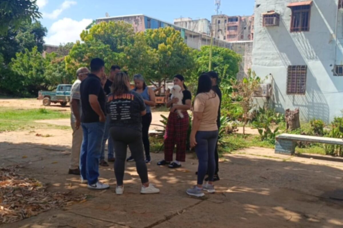 Borrador automático