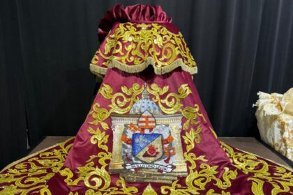 Borrador automático