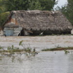 #TeExplicamosLaSemana | Domingo 2 de noviembre