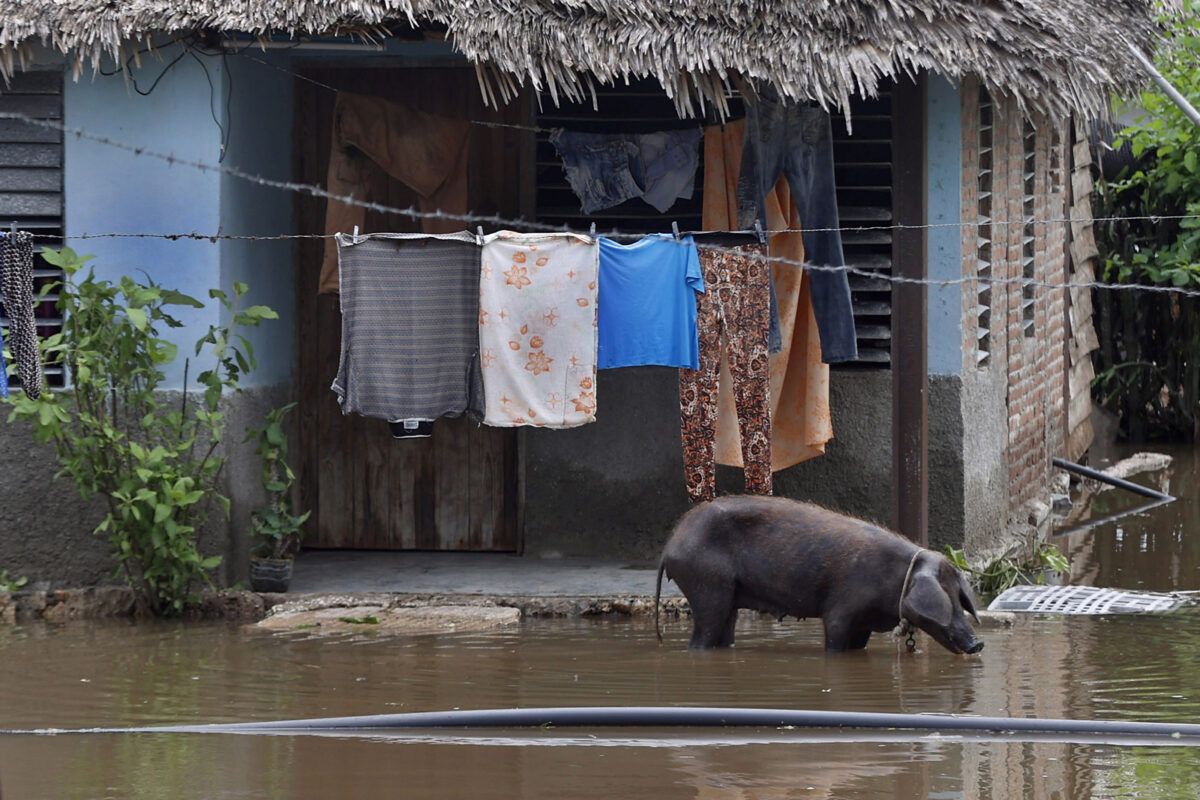 #TeExplicamosLaSemana | Domingo 2 de noviembre