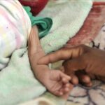 Borrador automático