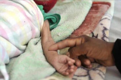 Borrador automático