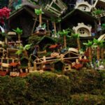 Venezuela comienza una campaña para evitar la extracción y comercialización del musgo