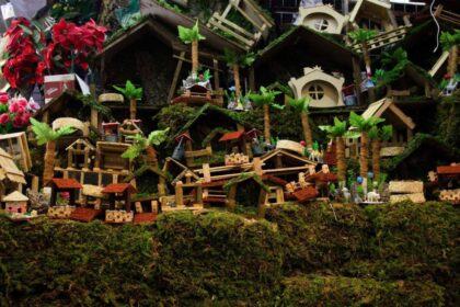 Venezuela comienza una campaña para evitar la extracción y comercialización del musgo