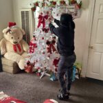 Migrantes en EE UU ruegan ser “invisibles” para los agentes de Inmigración en esta Navidad