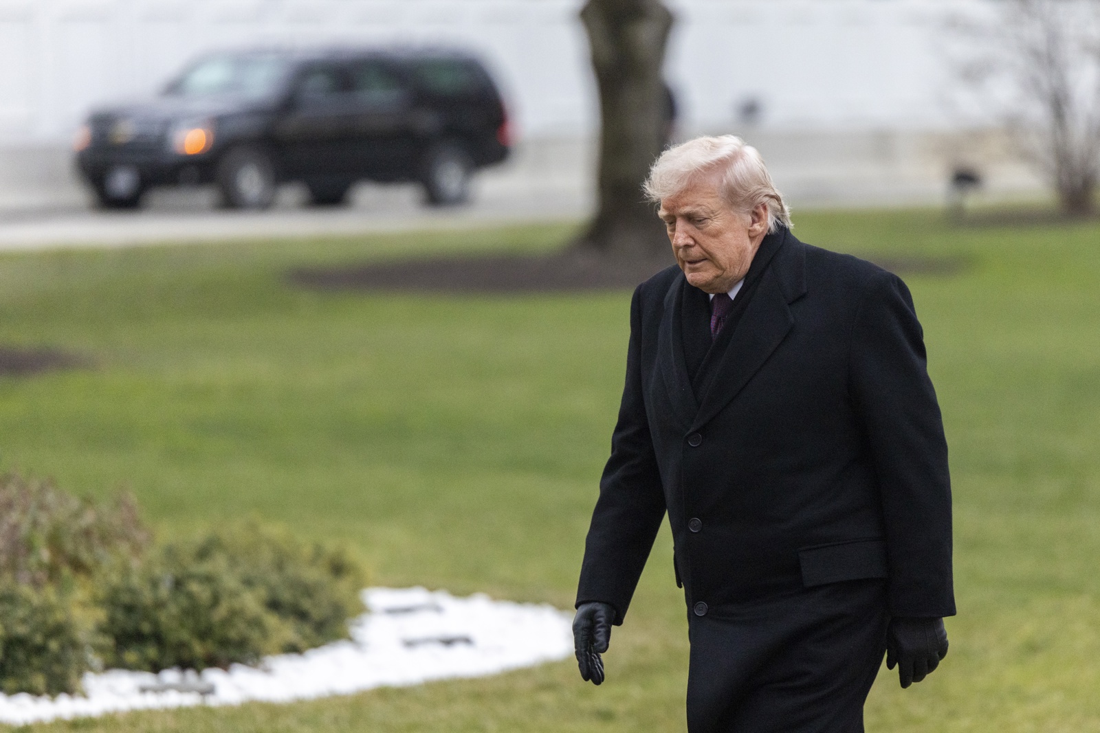 Borrador automático